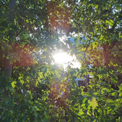 zaboli me k#rac (prod. 1611)