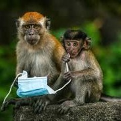 SATURDAY VIBES - EPISODE 12