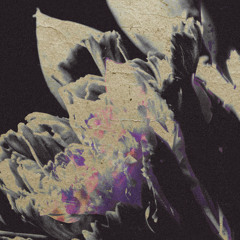 Kate Miller - Fenced Fringes (snippet)