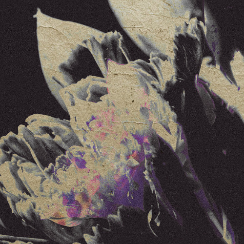 Mika Oki - loveáfaire (snippet)