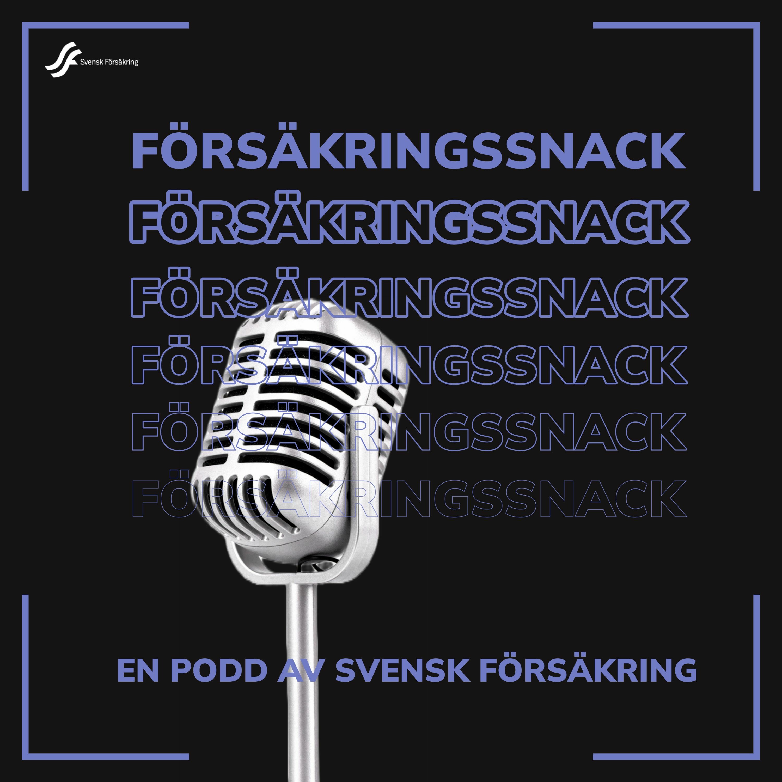 Försäkringssnack
