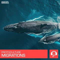 Migrations (Extended Mix)