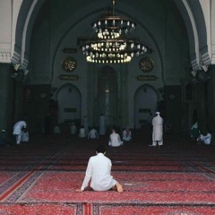 ﴿قل لن يصيبنا إلا ما كتب الله لنا هو مولانا وعلى الله فليتوكل المؤمنون﴾