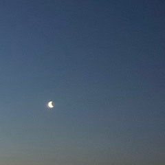 thoughts_of_a_sad_mind_I._nothing