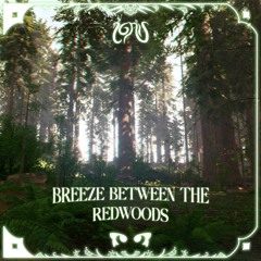 ignis. - Breeze Between The Redwoods