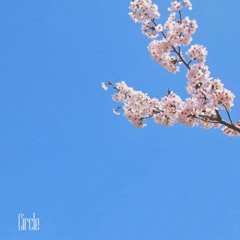 Circle (feat. PLO) - kNaxx