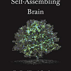download EPUB 📘 The Self-Assembling Brain: How Neural Networks Grow Smarter by  Pete