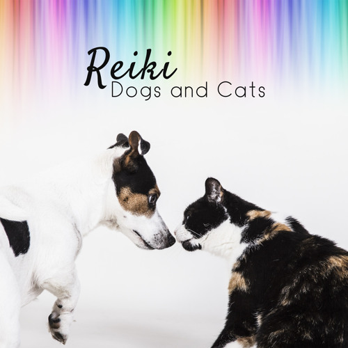 Reiki for Dogs and Cats