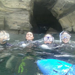 Best La Jolla Snorkeling Tour Prices Reviews
