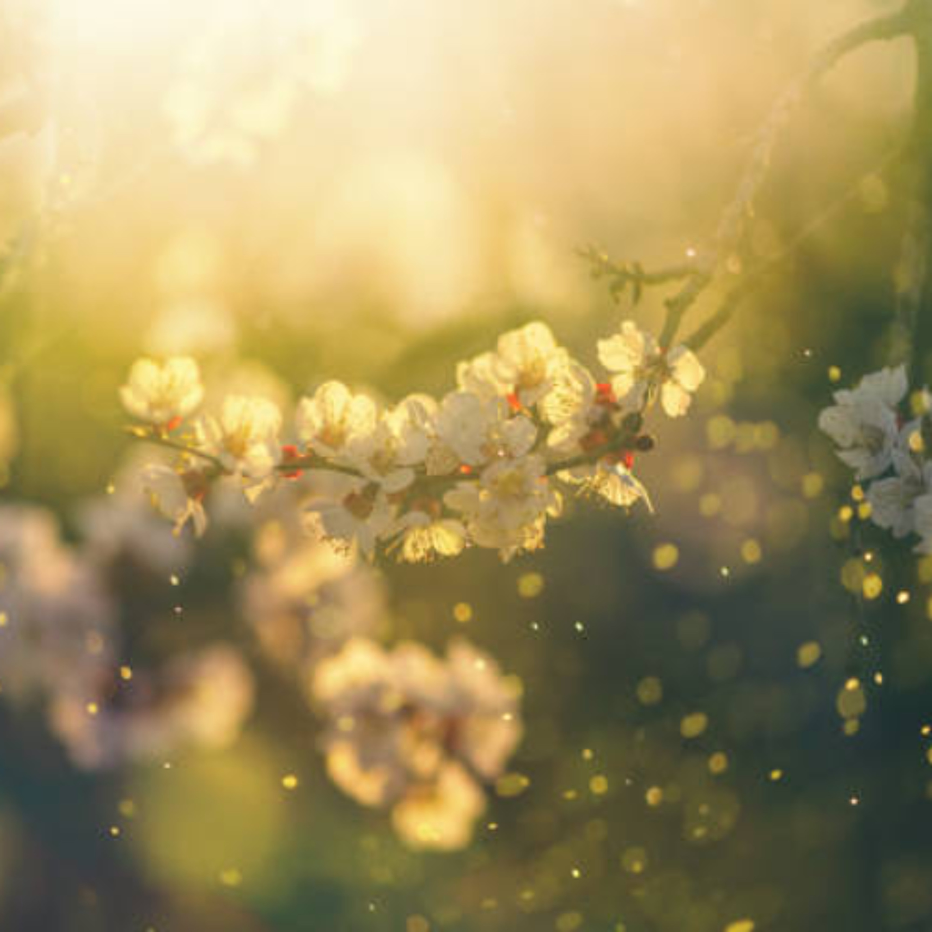 Springtime (House Mix)