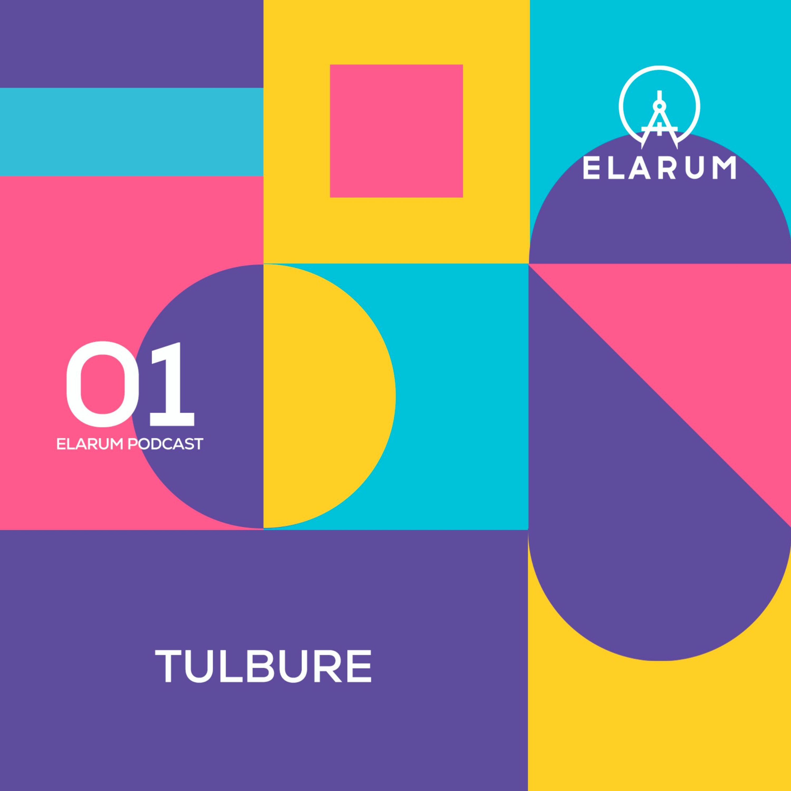 E 1: TULBURE