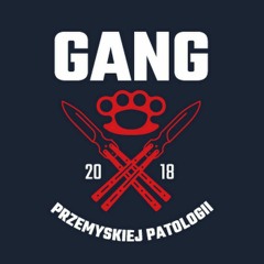 Gang PP ft.  Brodinio - Przeciw Pseudo  Prod. DNA.mp3
