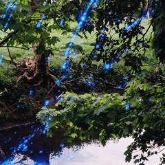 Ryouko - a walk in the forest