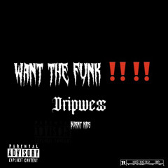 Want the funK‼️‼️ (prod by @yvnngecko)