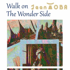 Walk On The Wonder Side