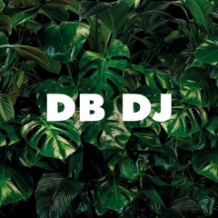 Tropical Feeling By DB Music (Dulan Buddhiwickrama)