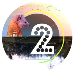 Radio mARTen Episode 2 - Witnessing: Creasing patterns in image led societies