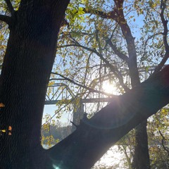 Ruts(Demo) ft. Tajai