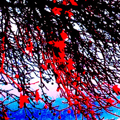 VICTOR JANVIER _ 10K + HOURS AURA @olivier.squelette @00000000lune