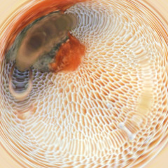 Lily's Repose (Ambient)