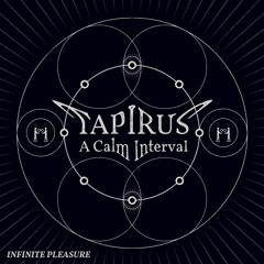 PREMIERE: Tapirus - Calm Interval Part 1 (Infinite Pleasure)