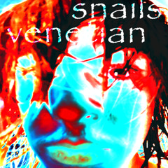 venetian snails