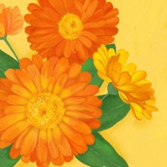 MEMORIES - 기억 (Korean)