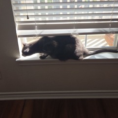 lesson to learn *demo