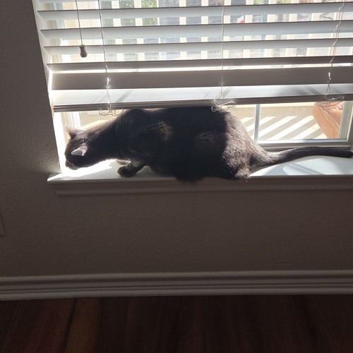 lesson to learn *demo