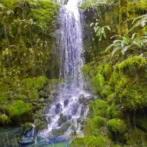 Raining Sounds by Tropical Waterfall with Distant Thunder | White Noise for Sleep (75 Minutes)