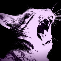 9Lives !