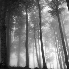 Tata LEQ avant les armes - 15.10.2021.mp3