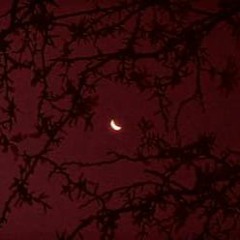 Gonebydawn (prod. Discent)