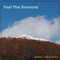 Feel The Seasons