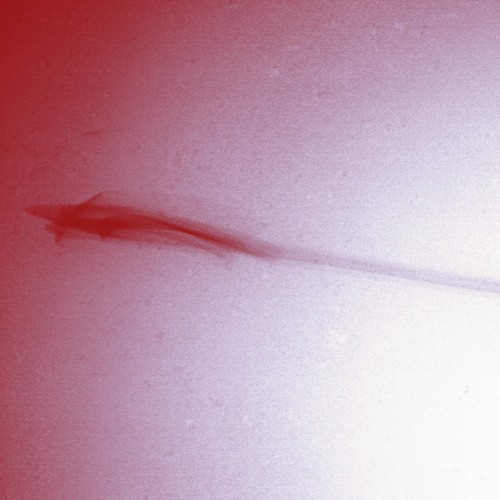 PW PREMIERE | Montague - Sketch 2 (Joy Huebner Remix) [MNTG001]