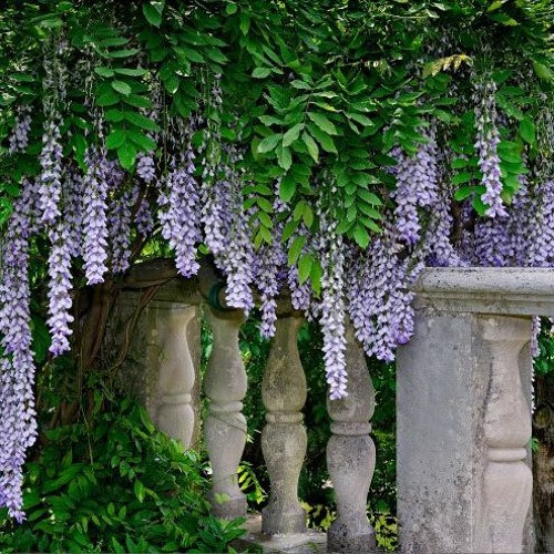 Summer2024clips (w 2004, chapters226 and Kees)