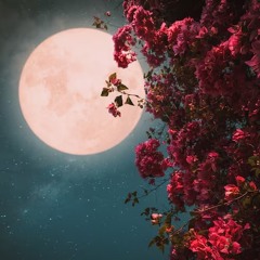 Lewandowski - Moon light v.2025.mp3