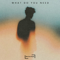 What Do You Need