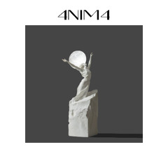 4NIM4