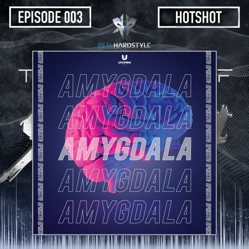 The Sound Of Sylenth EP003 @ REALHARDSTYLE.NL 02.10.2020