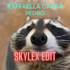 RAFFAELLA CARRÀ - PEDRO (Skylex Edit)