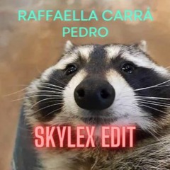 RAFFAELLA CARRÀ - PEDRO (Skylex Edit)