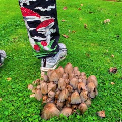 INTONATIONS012 W/Leonard Maassen