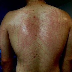 Dr. Dolittle Freestyle