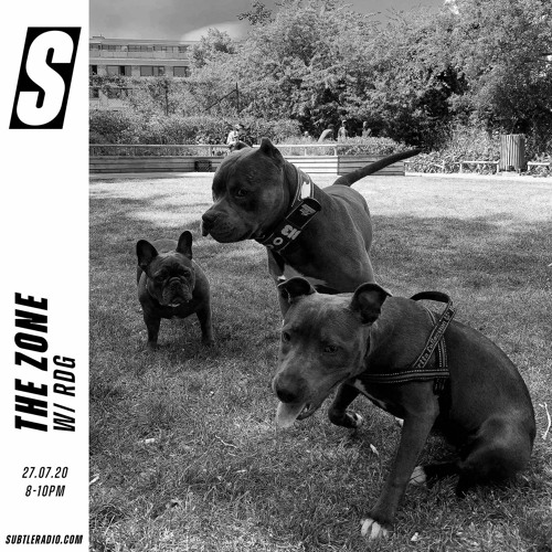 The Zone w/ RDG - Subtle - 27/07/2020