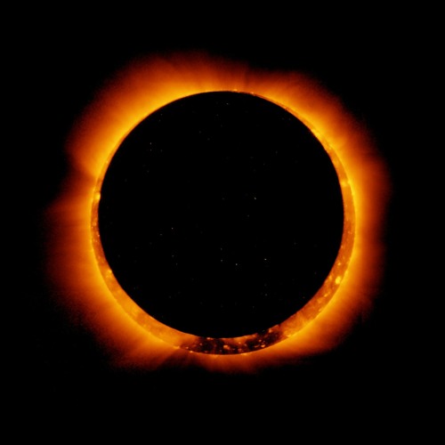 FiddeLozza   Uphoria