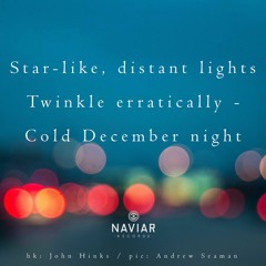 haiku #413: Star-like, distant lights / Twinkle erratically – / Cold December night