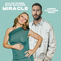 Calvin Harris & Ellie Goulding - Miracle (Amero & Hallasen Remix)