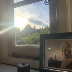 Arabella / TraktorField