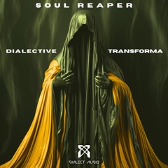 Transforma & Dialective - Soul Reaper [Bass Rabbit Premiere]